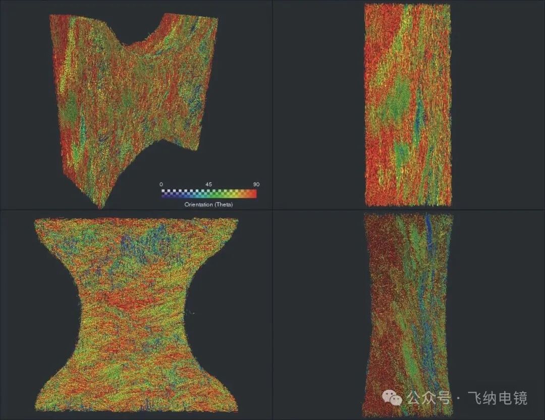 區域內纖維取向分布圖