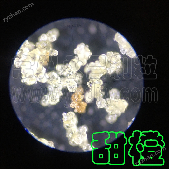 果汁速溶粉噴霧制粒干燥機(jī)--永昌制粒