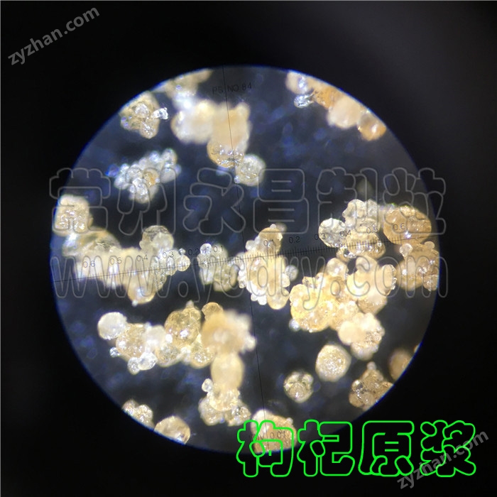 果汁速溶粉噴霧制粒干燥機(jī)--永昌制粒