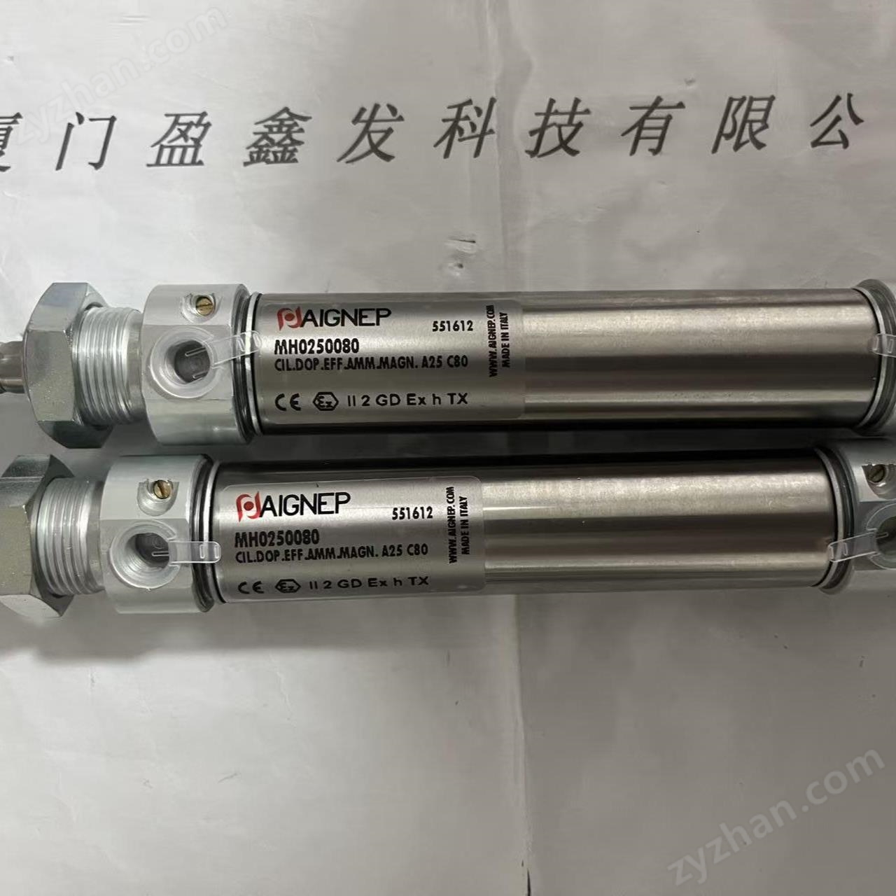 意大利AIGNEP安耐 气缸