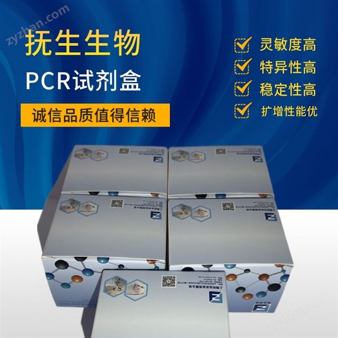 牛呼腸孤病毒PCR檢測試劑盒價格