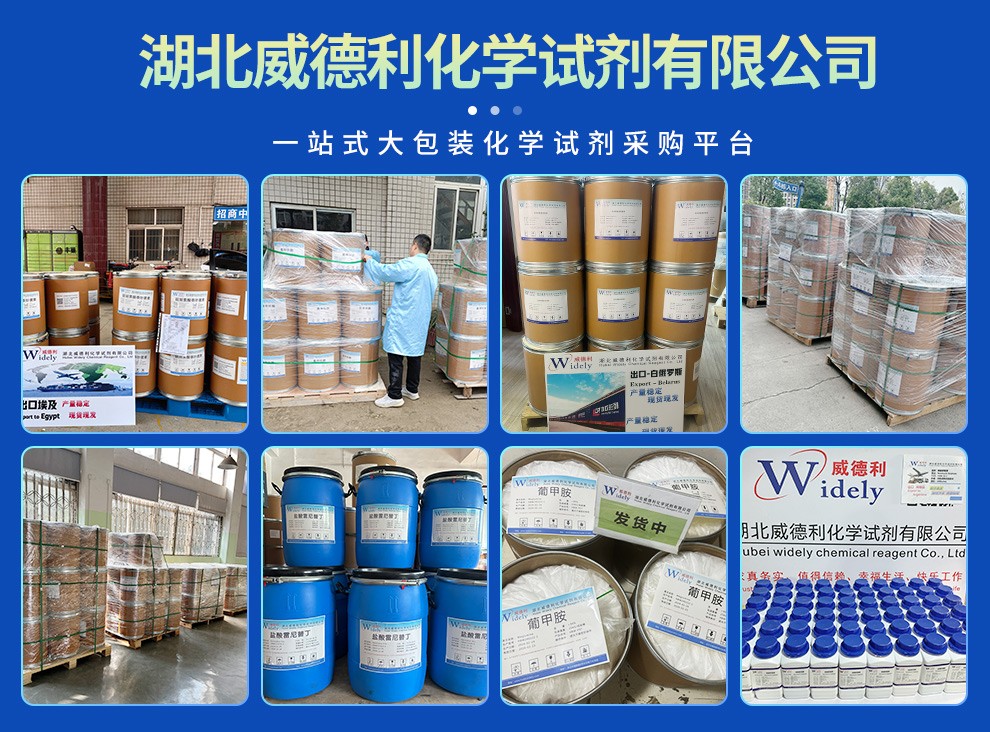 牛血清白蛋白的化学应用场景