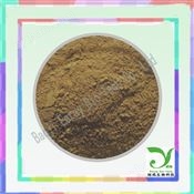靈芝提取物  10-30 多糖，比例產(chǎn)品